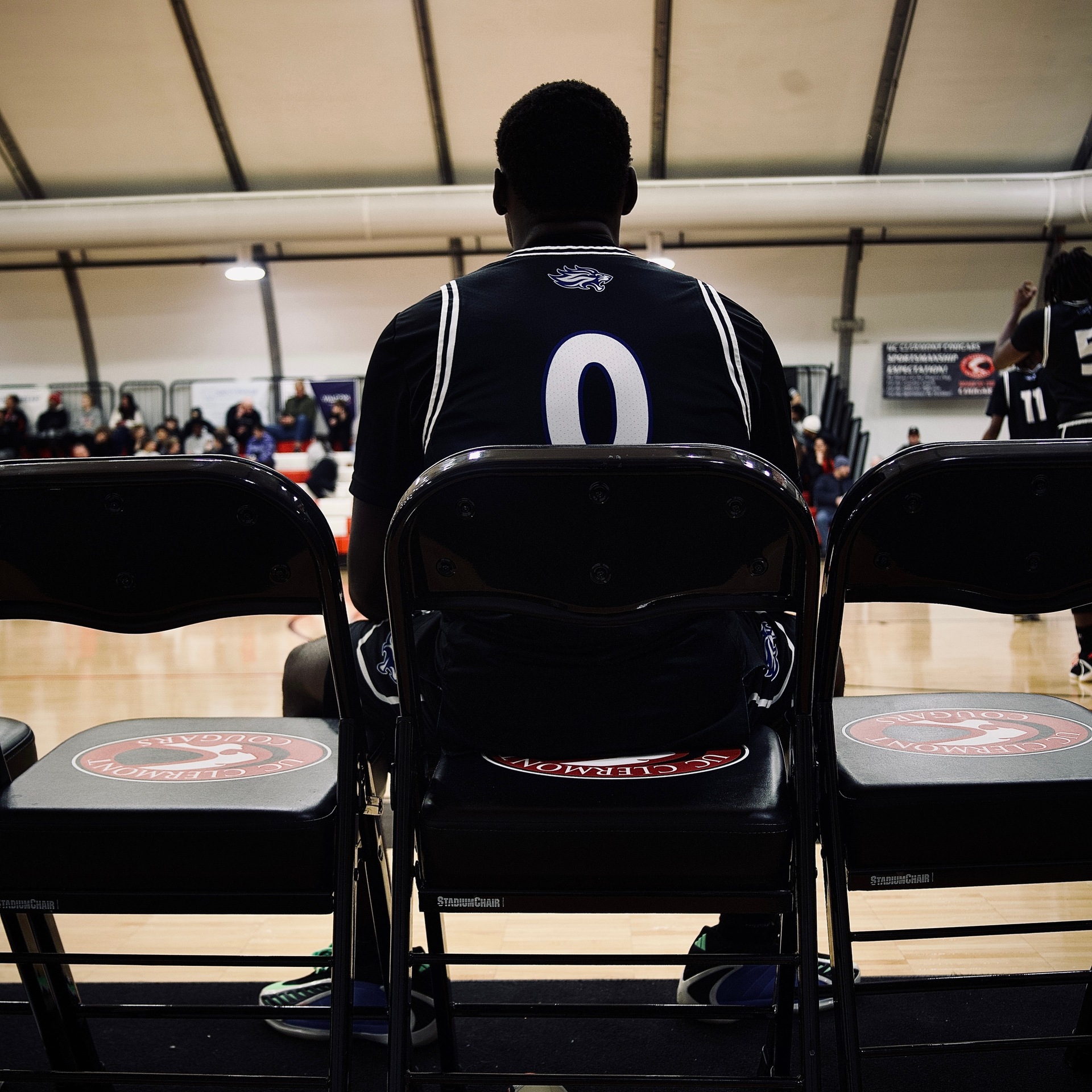 Lions Fall at Genesee